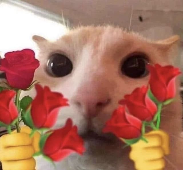 Eine süße Katze mit Blumen